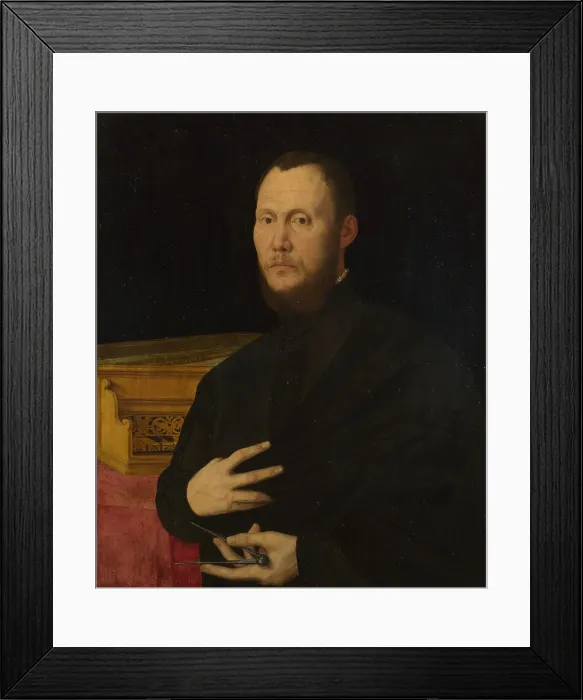 Framed Print : Portrait of a Musician, c. 1565. Artist: Campi, Bernardino (1522-1591) Framed Print : Portrait of a Musician, c. 1565. Artist: Campi, Bernardino (1522-1591)