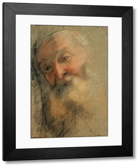 Framed Print : Head of an Old Bearded Man, 1584-1586. Artist: Barocci, Federigo (1528-1612) Framed Print : Head of an Old Bearded Man, 1584-1586. Artist: Barocci, Federigo (1528-1612)