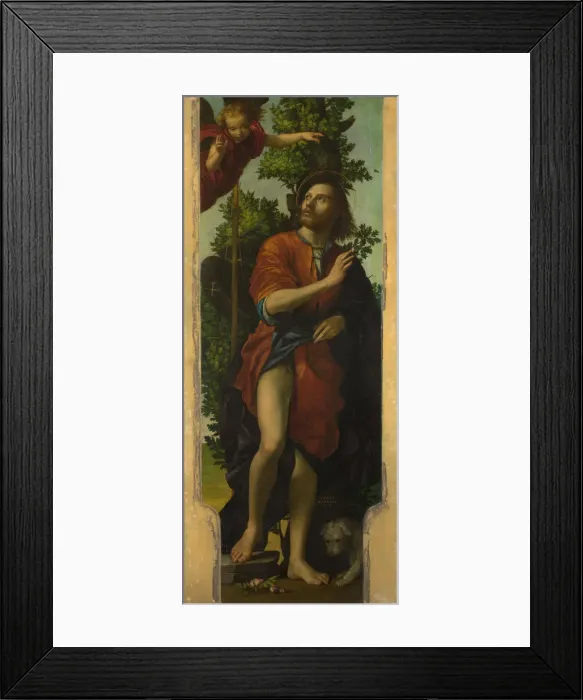 Framed Print : Saint Roch, 1518. Artist: Morando, Paolo (ca 1486 / 8 - 1522) Framed Print : Saint Roch, 1518. Artist: Morando, Paolo (ca 1486 / 8 - 1522)