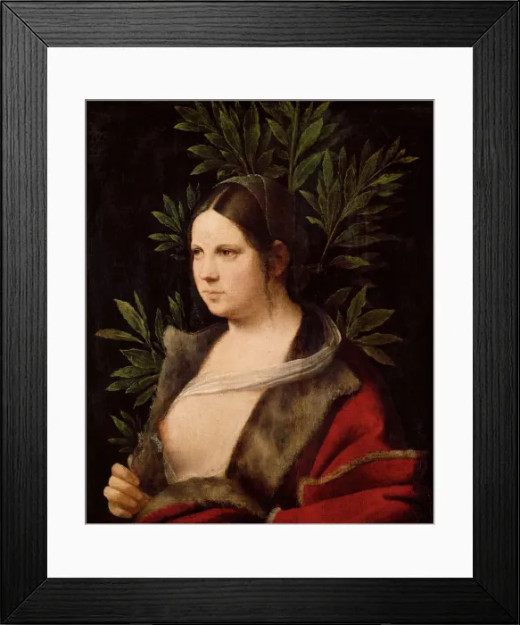 Framed Print : Young Woman (Laura), 1506. Artist: Giorgione (1476-1510) Framed Print : Young Woman (Laura), 1506. Artist: Giorgione (1476-1510)
