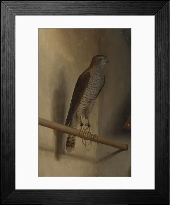 Framed Print : A Sparrowhawk, 1510s. Artist: De Barbari, Jacopo (c. 1445-c. 1516) Framed Print : A Sparrowhawk, 1510s. Artist: De Barbari, Jacopo (c. 1445-c. 1516)