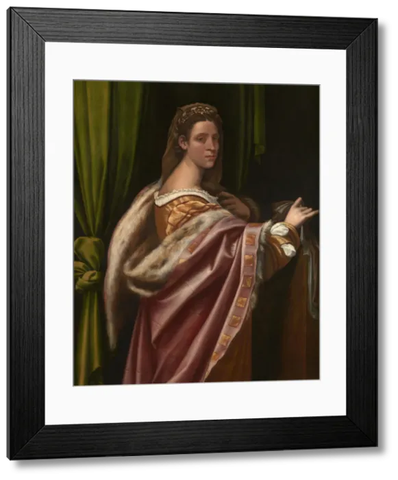 Framed Print : Portrait of a Lady, 1540s. Artist: Piombo, Sebastiano, del (1485-1547) Framed Print : Portrait of a Lady, 1540s. Artist: Piombo, Sebastiano, del (1485-1547)