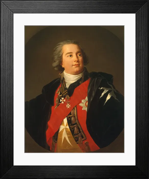 Framed Print : Portrait of Admiral July Litta (Giulio Renato de Litta Visconti Arese), 1800s. Artist: Anonymous Framed Print : Portrait of Admiral July Litta (Giulio Renato de Litta Visconti Arese), 1800s. Artist: Anonymous