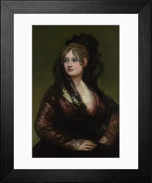 Framed Print : Portrait of Dona Isabel de Porcel, before 1805. Artist: Goya, Francisco, de (1746-1828) Framed Print : Portrait of Dona Isabel de Porcel, before 1805. Artist: Goya, Francisco, de (1746-1828)