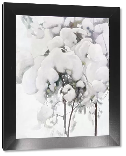 Snow-Covered Pine Saplings. Artist: Halonen, Pekka (1865-1933)