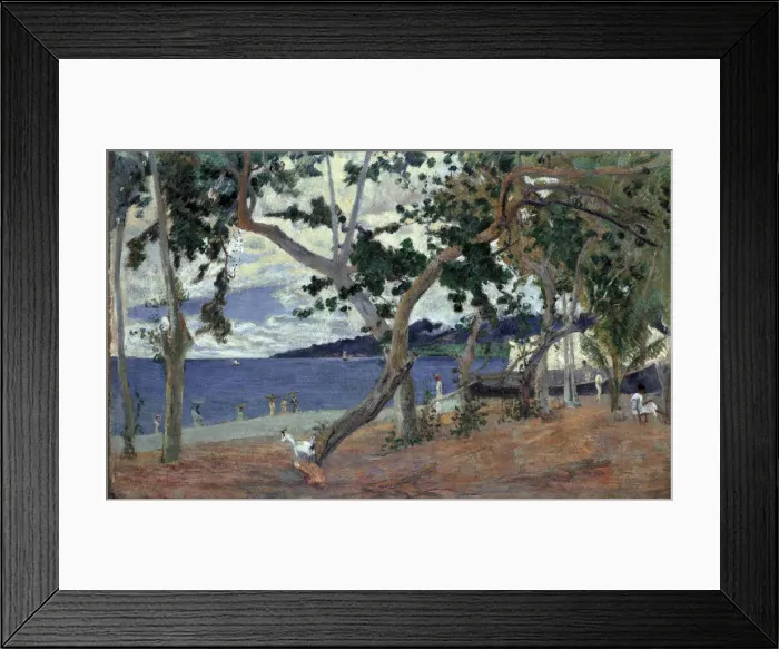 Framed Print : At the seashore, Martinique Framed Print : At the seashore, Martinique