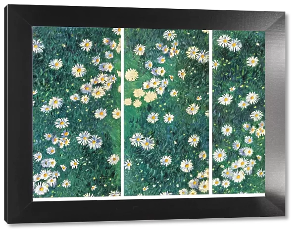 Daisies (Bed of Daisies), c. 1892-1893