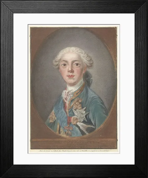 Framed Print : Louis Stanislas Xavier (1755-1824), Count of Provence, 1772 Framed Print : Louis Stanislas Xavier (1755-1824), Count of Provence, 1772