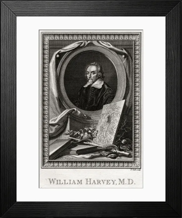Framed Print : William Harvey, 1777. Artist: Thomas Cook Framed Print : William Harvey, 1777. Artist: Thomas Cook