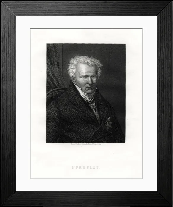 Framed Print : Alexander von Humboldt, (1769-1859), German naturalist and explorer, 19th century. Artist: C Cook Framed Print : Alexander von Humboldt, (1769-1859), German naturalist and explorer, 19th century. Artist: C Cook