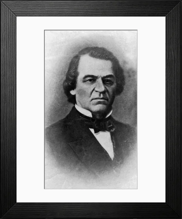 Framed Print : Andrew Johnson, President of the United States, 20th century Framed Print : Andrew Johnson, President of the United States, 20th century