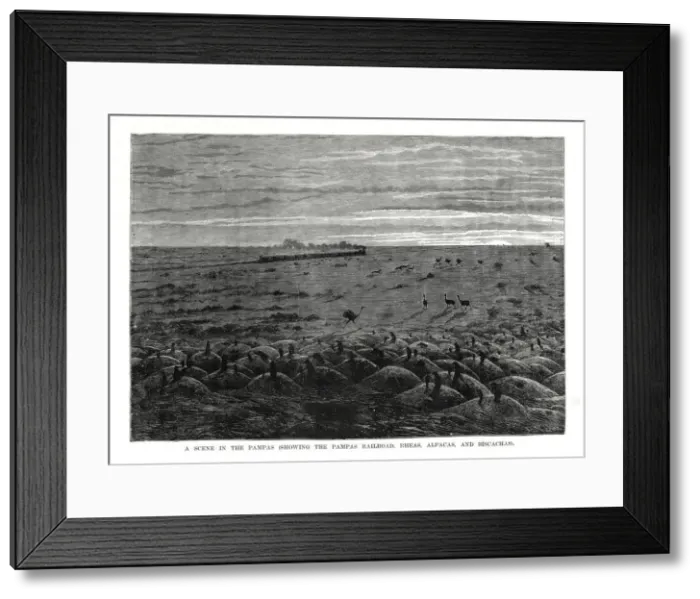 Framed Print : The Pampas railroad, South American lowlands, 1877 Framed Print : The Pampas railroad, South American lowlands, 1877