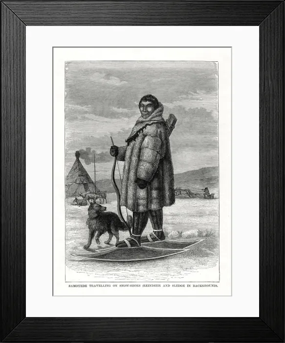 Framed Print : Samoyede Travelling on Snow-Shoes, Russia, 1877 Framed Print : Samoyede Travelling on Snow-Shoes, Russia, 1877
