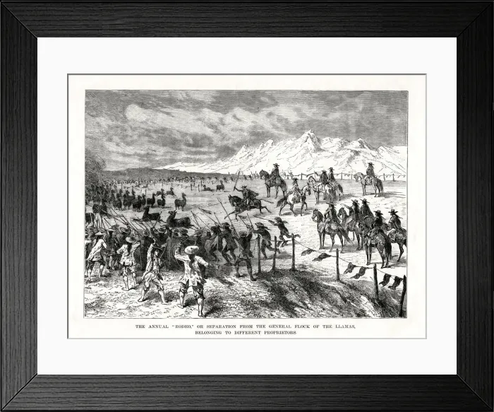 Framed Print : Rodeo, South America, 1877 Framed Print : Rodeo, South America, 1877