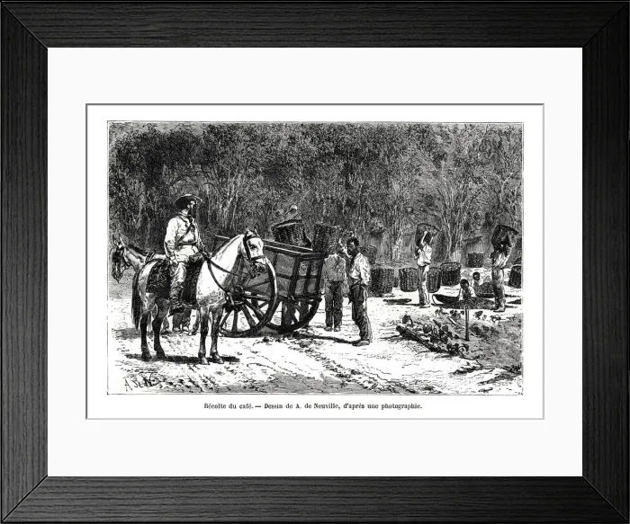 Framed Print : Harvesting the coffee, Brazil, 19th century. Artist: A de Neuville Framed Print : Harvesting the coffee, Brazil, 19th century. Artist: A de Neuville