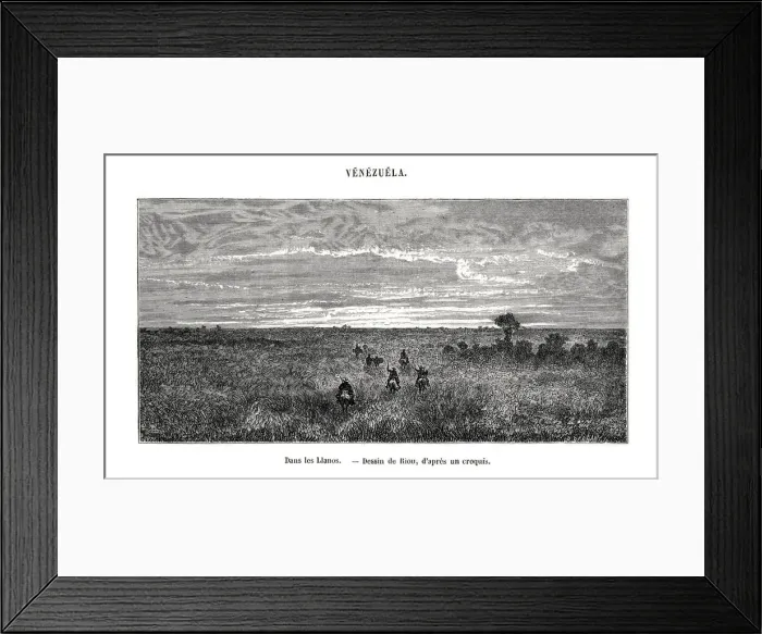 Framed Print : Los Llanos, Venezuela, 19th century. Artist: Edouard Riou Framed Print : Los Llanos, Venezuela, 19th century. Artist: Edouard Riou