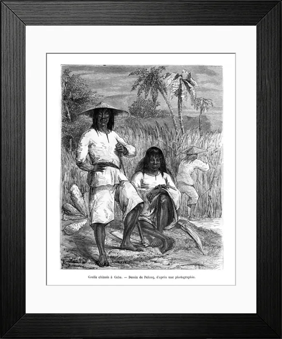 Framed Print : Chinese workers, Cuba, 19th century. Artist: Pelcoq Framed Print : Chinese workers, Cuba, 19th century. Artist: Pelcoq