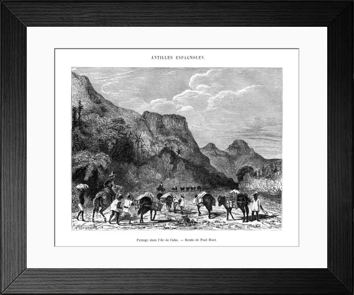 Framed Print : Landscape in the island of Cuba, 19th century. Artist: Paul Huet Framed Print : Landscape in the island of Cuba, 19th century. Artist: Paul Huet
