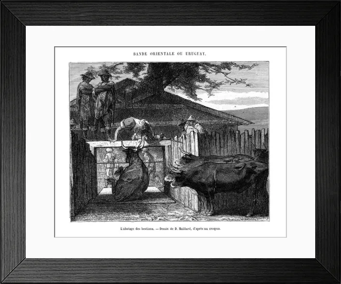 Framed Print : Abattoir, Uruguay, 19th century. Artist: D Maillard Framed Print : Abattoir, Uruguay, 19th century. Artist: D Maillard
