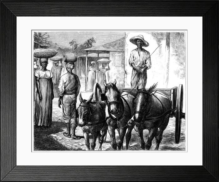 Framed Print : Street scene, Haiti, 19th century. Artist: T Wust Framed Print : Street scene, Haiti, 19th century. Artist: T Wust