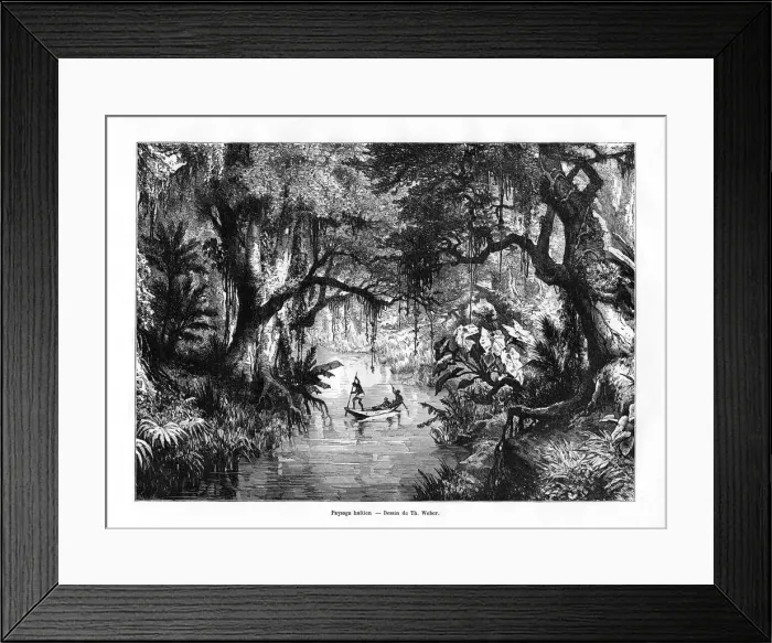 Framed Print : River in Haiti, 19th century. Artist: T Weber Framed Print : River in Haiti, 19th century. Artist: T Weber