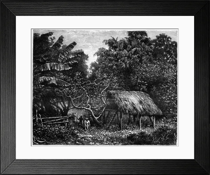 Framed Print : Guyana, South America, 19th century. Artist: Edouard Riou Framed Print : Guyana, South America, 19th century. Artist: Edouard Riou