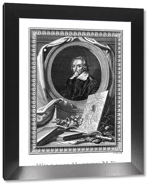 William Harvey, medical doctor, 1777. Artist: T Cook
