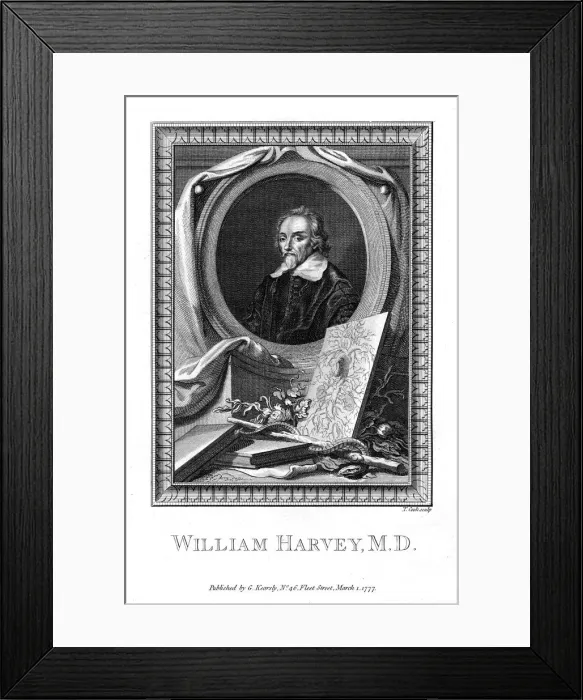 Framed Print : William Harvey, medical doctor, 1777. Artist: T Cook Framed Print : William Harvey, medical doctor, 1777. Artist: T Cook