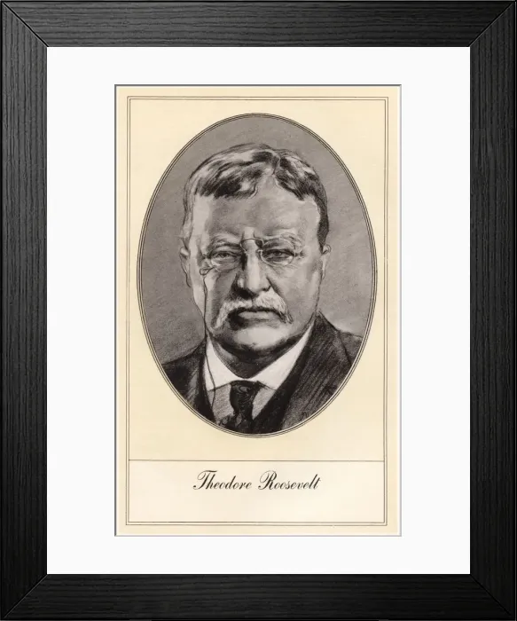 Framed Print : Theodore Roosevelt, 26th President of the United States, (early 20th century). Artist: Gordon Ross Framed Print : Theodore Roosevelt, 26th President of the United States, (early 20th century). Artist: Gordon Ross