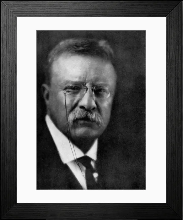 Framed Print : Theodore Roosevelt, 26th President of the United States, (1933) Framed Print : Theodore Roosevelt, 26th President of the United States, (1933)