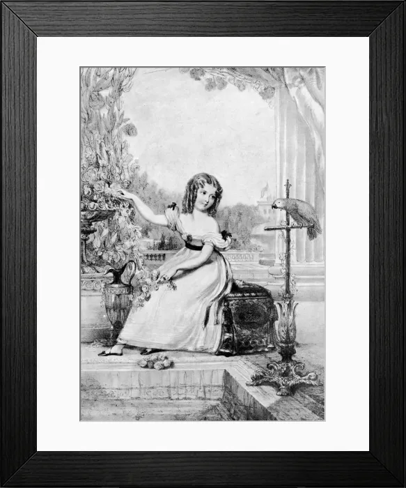 Framed Print : The Princess Victoria at the age of eleven years, (1901). Artist: John Hayter Framed Print : The Princess Victoria at the age of eleven years, (1901). Artist: John Hayter