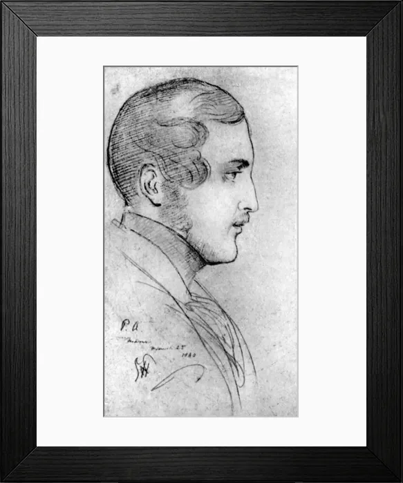 Framed Print : Prince Consort Albert, husband and consort of Queen Victoria, (1901). Artist: George Hayter Framed Print : Prince Consort Albert, husband and consort of Queen Victoria, (1901). Artist: George Hayter