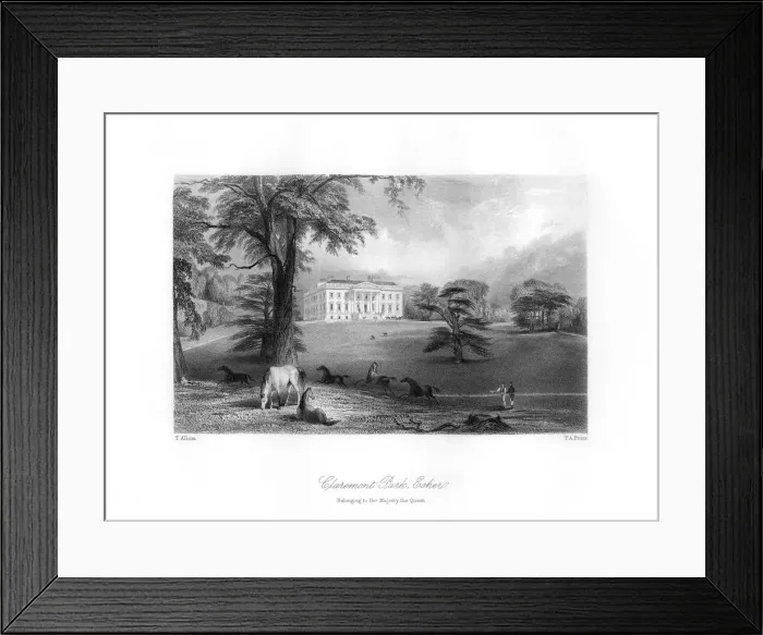 Framed Print : Claremont Park, Esher, Surrey, 19th century. Artist: TA Prior Framed Print : Claremont Park, Esher, Surrey, 19th century. Artist: TA Prior