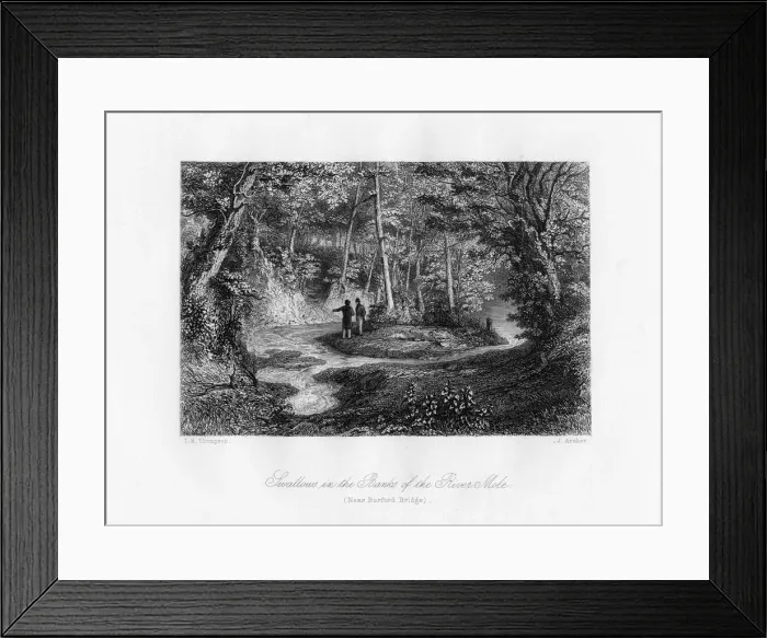 Framed Print : Swallows in the Banks of the River Mole, Surrey, 19th century. Artist: J Archer Framed Print : Swallows in the Banks of the River Mole, Surrey, 19th century. Artist: J Archer