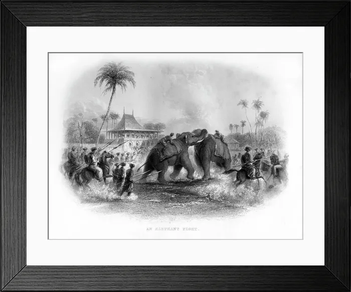 Framed Print : An elephant fight, India, 19th century Framed Print : An elephant fight, India, 19th century