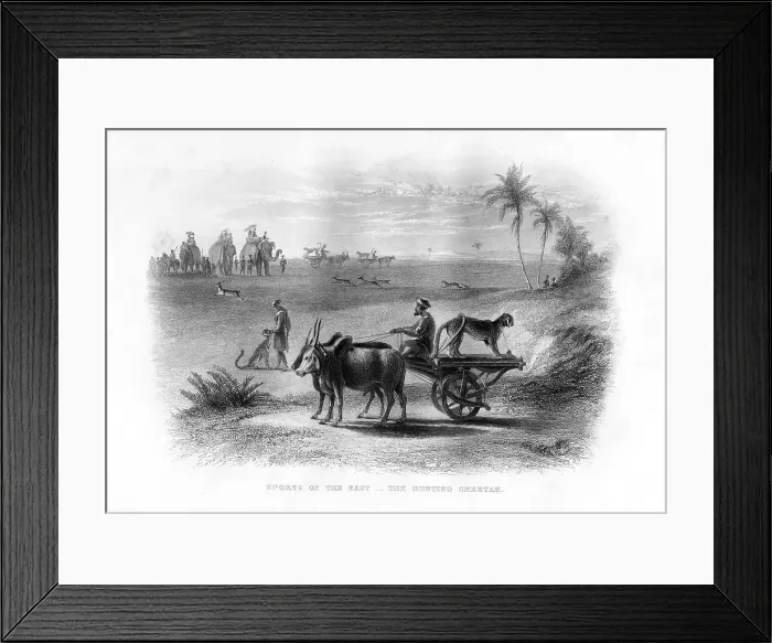 Framed Print : Sports of the East, The Hunting Cheetah, 19th century Framed Print : Sports of the East, The Hunting Cheetah, 19th century