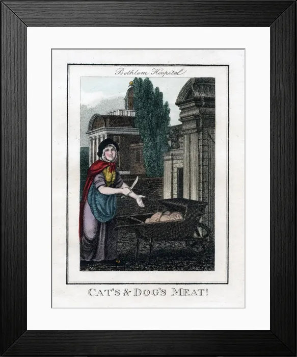 Framed Print : Cats and Dogs Meat!, Bethlem Hospital, London, 1805 Framed Print : Cats and Dogs Meat!, Bethlem Hospital, London, 1805