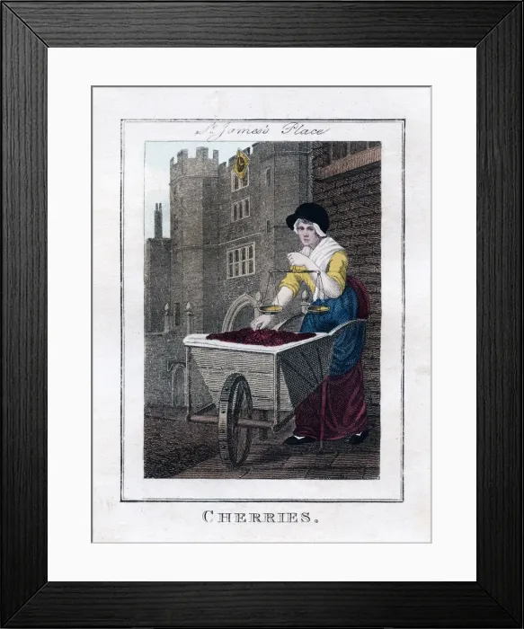 Framed Print : Cherries, St Jamess Palace, London, 1805 Framed Print : Cherries, St Jamess Palace, London, 1805