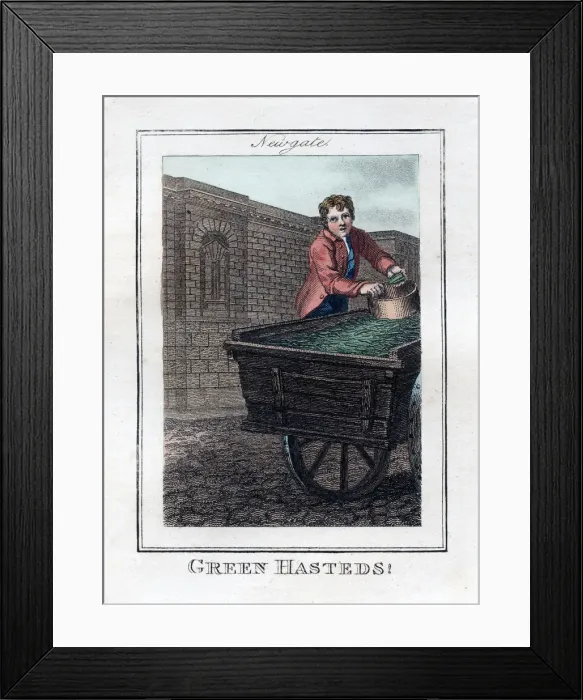Framed Print : Green Hasteds, Newgate, London, 1805 Framed Print : Green Hasteds, Newgate, London, 1805