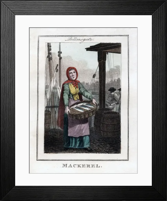 Framed Print : Mackerel, Billingsgate, London, 1805 Framed Print : Mackerel, Billingsgate, London, 1805