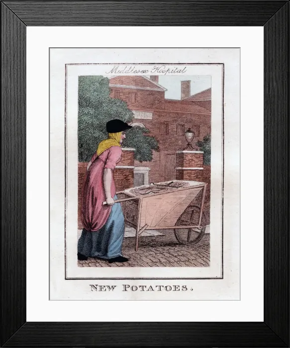 Framed Print : New Potatoes, Middlesex Hospital, London, 1805 Framed Print : New Potatoes, Middlesex Hospital, London, 1805