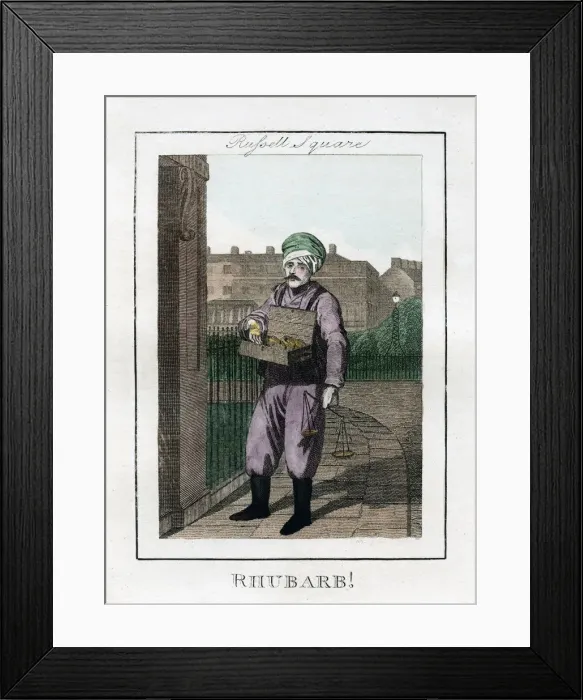Framed Print : Rhubarb, Russell Square, London, 1805 Framed Print : Rhubarb, Russell Square, London, 1805