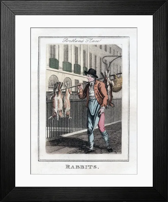 Framed Print : Rabbits, Portland Place, London, 1805 Framed Print : Rabbits, Portland Place, London, 1805
