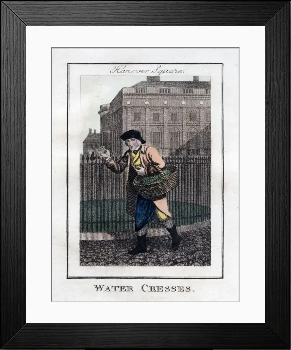 Framed Print : Water Cresses, Hanover Square, London, 1805