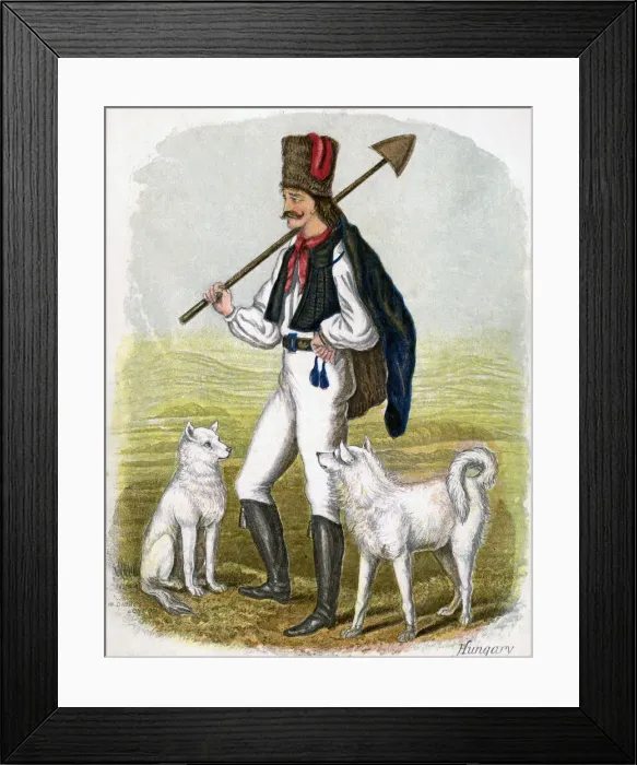 Framed Print : Hungarian Man with Dogs, 1809. Artist: W Dickes Framed Print : Hungarian Man with Dogs, 1809. Artist: W Dickes