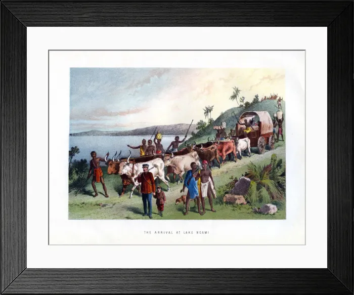 Framed Print : The Arrival at Lake Ngami, 19th century Framed Print : The Arrival at Lake Ngami, 19th century