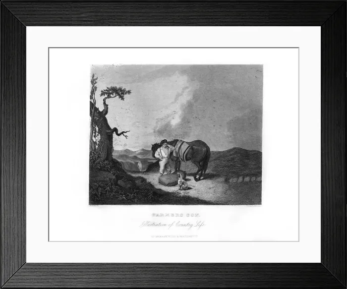 Framed Print : Farmers Son, c1872. Artist: William G Jackman Framed Print : Farmers Son, c1872. Artist: William G Jackman