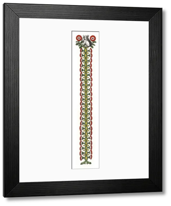 Framed Print : Daisy border, c1445, (1843). Artist: Henry Shaw Framed Print : Daisy border, c1445, (1843). Artist: Henry Shaw