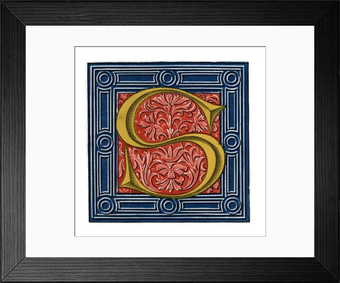 Framed Print : Initial letter S, (1843). Artist: Henry Shaw Framed Print : Initial letter S, (1843). Artist: Henry Shaw