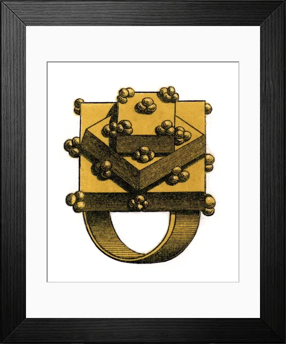 Framed Print : Ring, (1843). Artist: Henry Shaw Framed Print : Ring, (1843). Artist: Henry Shaw